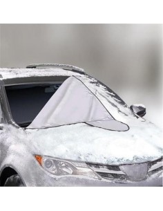 Racleta electrica + Prelata... 2