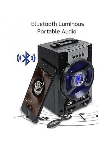 Boxa portabila, radio FM, baterie...