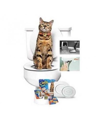 Citi Kitty - kit pentru educarea...